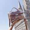 Transparent Hand Bag - shoebagsarea